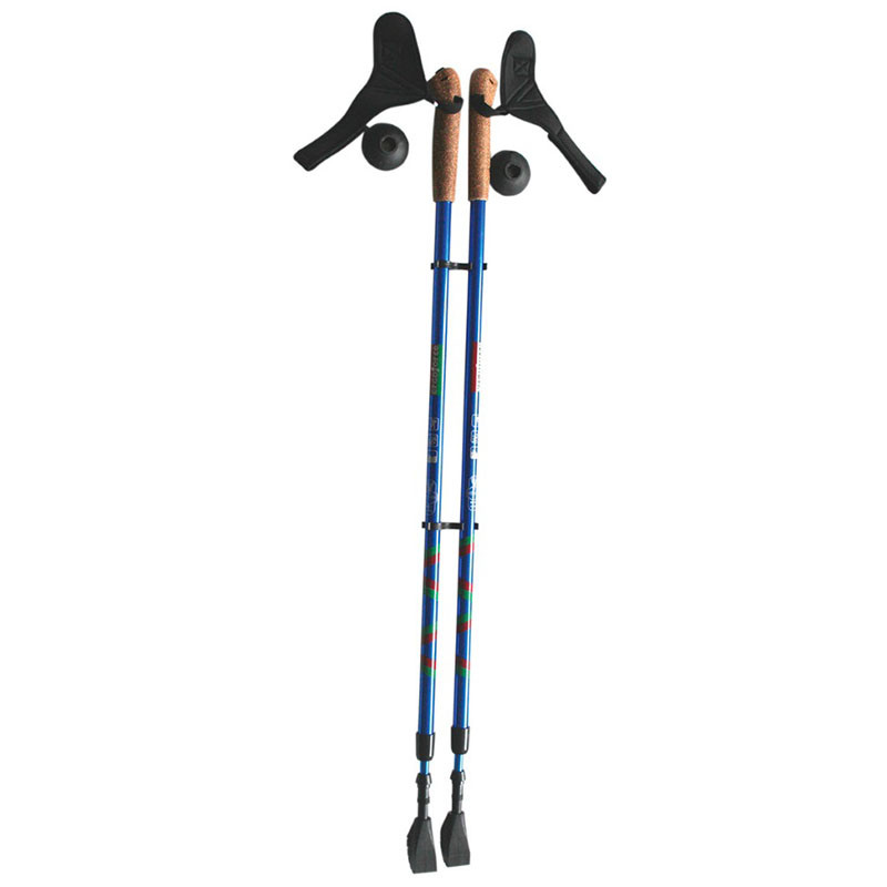 Палки для скандинавской ходьбы Ergo Nordic амортиз.,110-140 см, синие