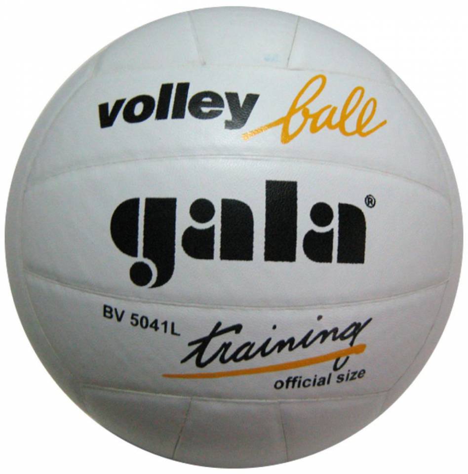 Мяч волейбольный Gala BV5041L Training