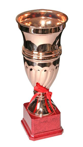 Кубок KB 9104 B (H- 24 см, D- 100 мм)