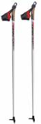Палки лыжные Larsen Team Алюминий