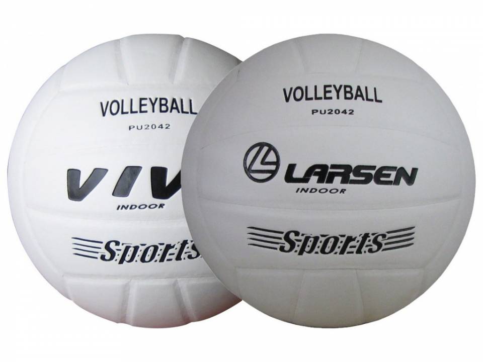 Мяч волейбольный Larsen/Viva PU2042
