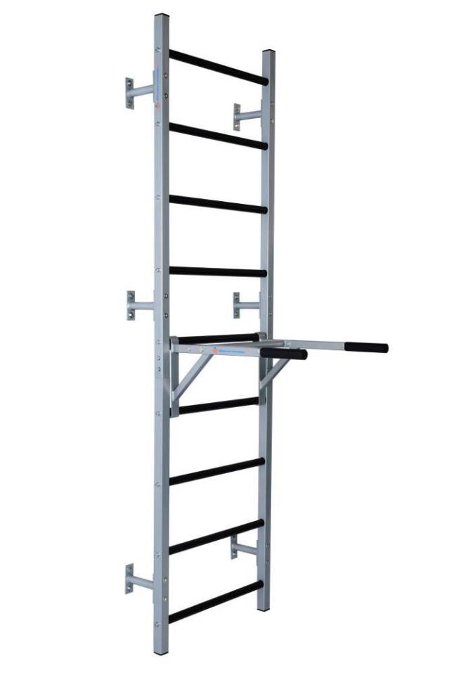 Брусья Профессионал навесные серебро